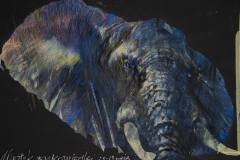 Ciemnoniebieska głowa słonia z szarymi elementami. Czarne tło.