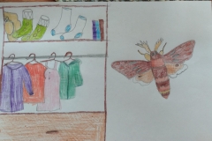 Rysunek wykonany kredkami. Po lewej stronie otwarta szafa z wiszącymi na wieszakach ubraniami. Po prawej owad.