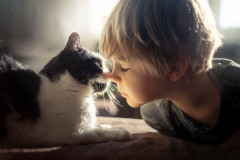 Dziecko sfotografowane z lewego profilu (po prawej) i czarno-biały kot (po lewej). Zwierzak wącha nos dziecka.