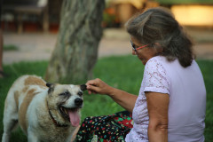 Sfotografowana bokiem kobieta siedzi na trawie i drapie ucho psa. Zwierzak ma wywieszony jęzor. W tle pień drzewa.
