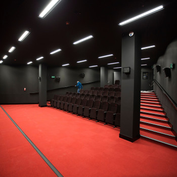 Mała sala kinowa. Widok z rogu sceny. Czerwona wykładzina. Czarne ściany. Brązowe rzędy foteli ułożone rosnąco ku górze.