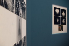 Fotografie przymocowane do ściany. Pada na nie prostokątne białe światło.
