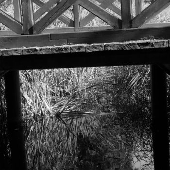 Fragment drewnianego mostu nad wodą. Za nim gęsto porośnięta trzcina.