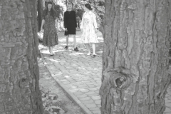 Trzy kobiety w zwiewnych sukienkach. Idą chodnikiem z kostki. Zdjęcie wykonane spomiędzy pni dwóch drzew.  Fotografia czarno-biała.
