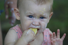 Dziecko wkłada do ust cytrusa.