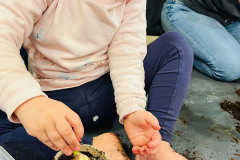 Dziecko wsadza cebulkę do kartonowej doniczki wypełnionej ziemią.