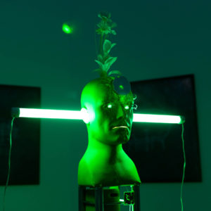 Na zdjęciu rzeźba przedstawiająca ludzką głowę w kolorze zielonym